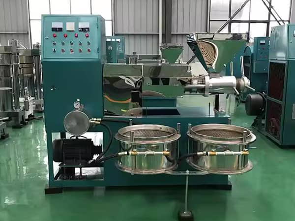 screw oil making machine