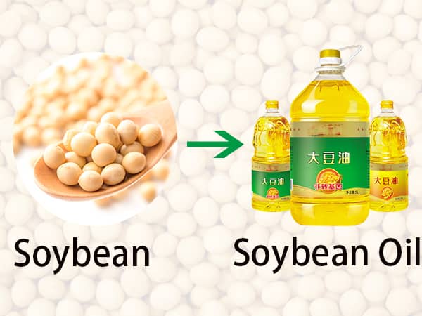 soybean oil